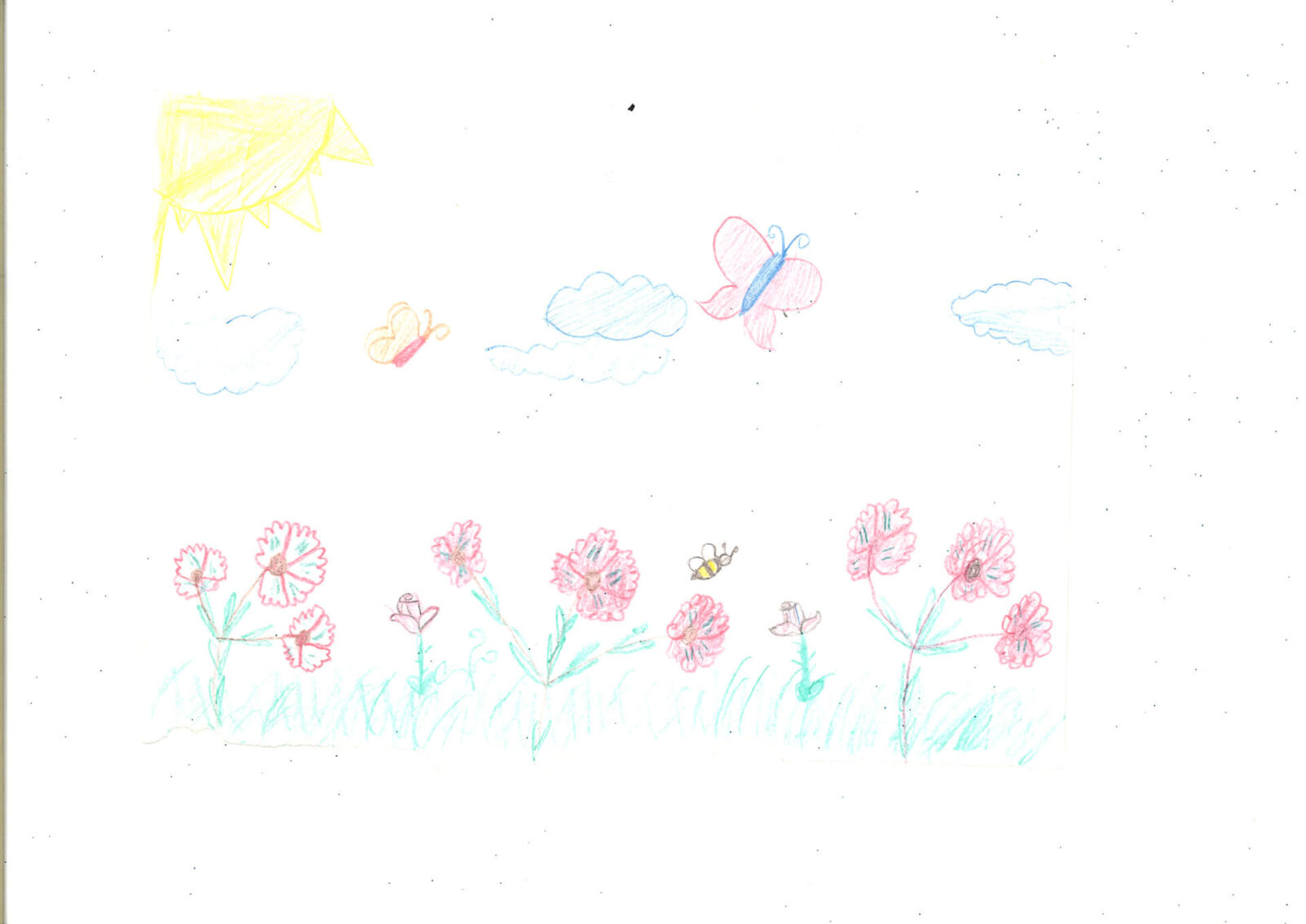 Iskustva osoba sa smještaja - Duga Dom Zagreb 